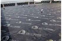 慶陽(yáng)路 醫(yī)藥公司